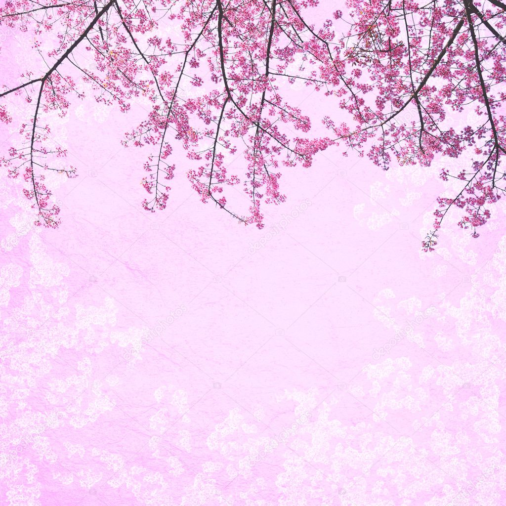 Download Gambar Bunga Sakura Bergerak