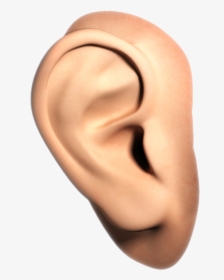 Ear Png