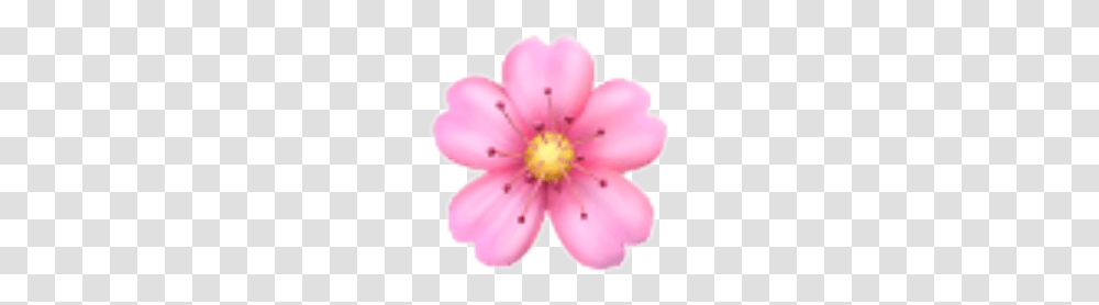 Emoticon Bunga Sakura