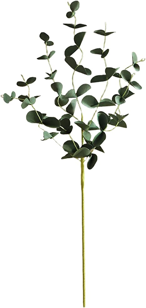 Eukalyptus Blumen
