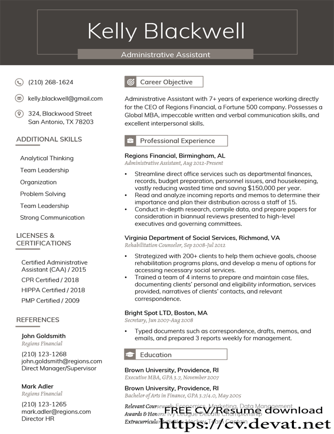 Executive Resume Template Download