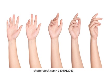 Female Hand Pictures
