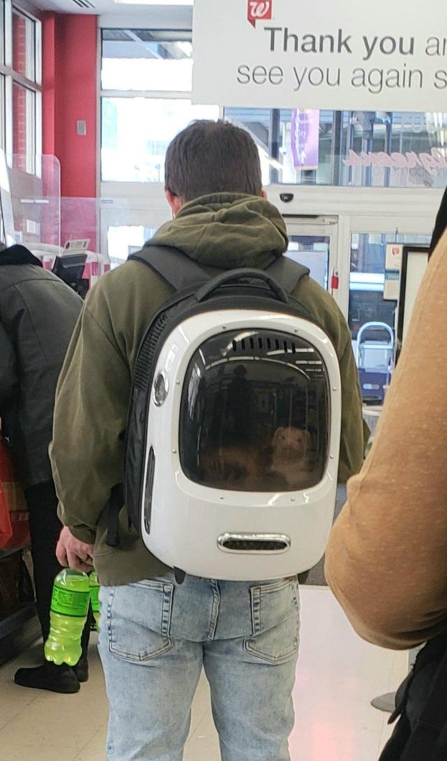 Ferret Backpack