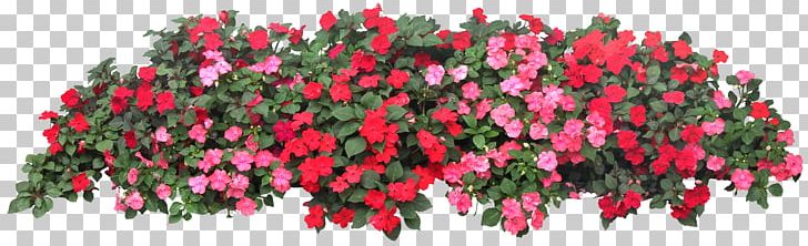 Flower Bed Png