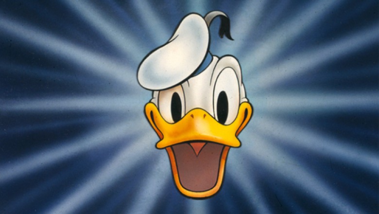 Foto Donald Duck