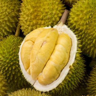 Foto Durian Kuning