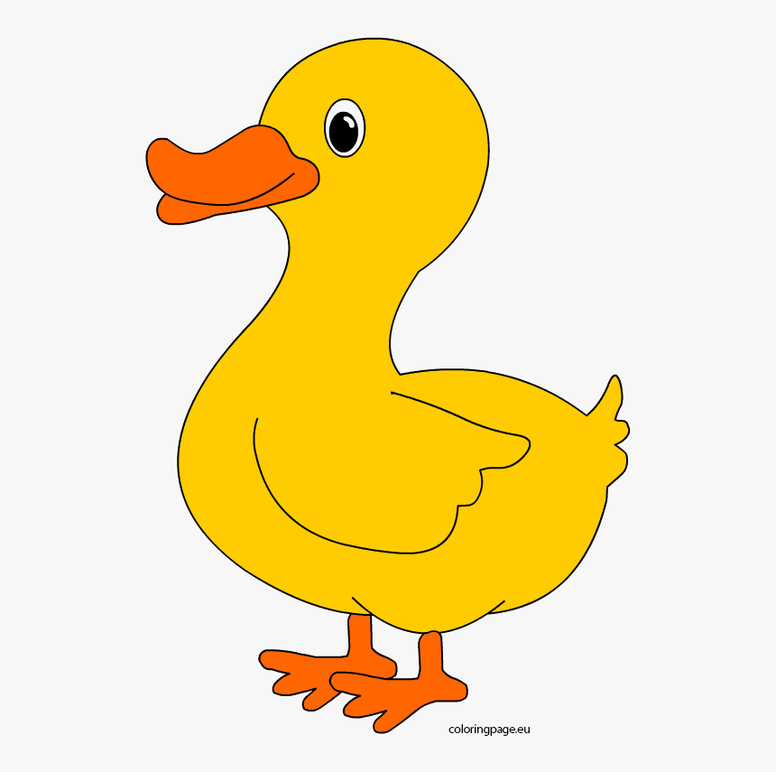 Free Ducky Clipart