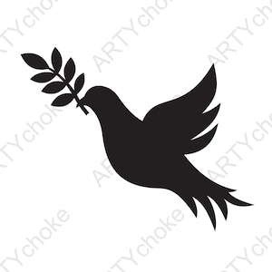 Friedenstaube Taube Zeichnen