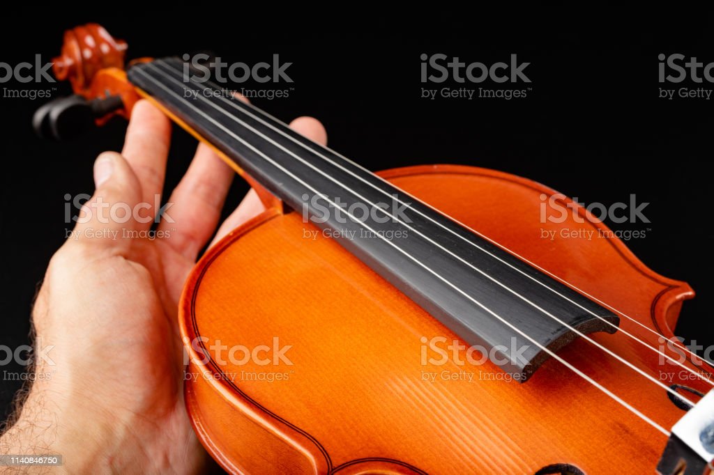 Gambar Alat Musik Violin