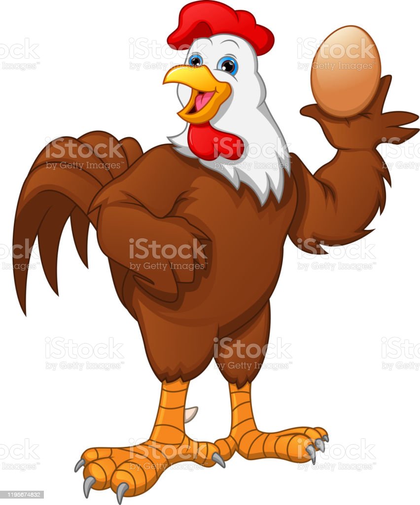 Gambar Ayam Karikatur