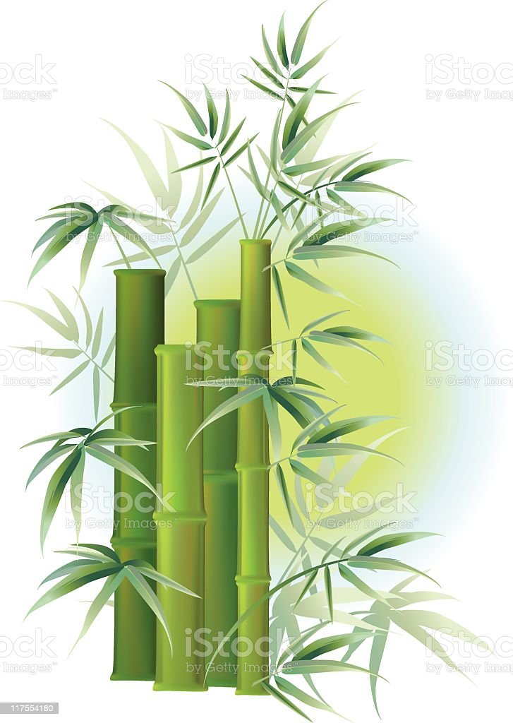 Gambar Bambu Hijau