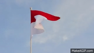 Gambar Bendera Merah Putih Gif