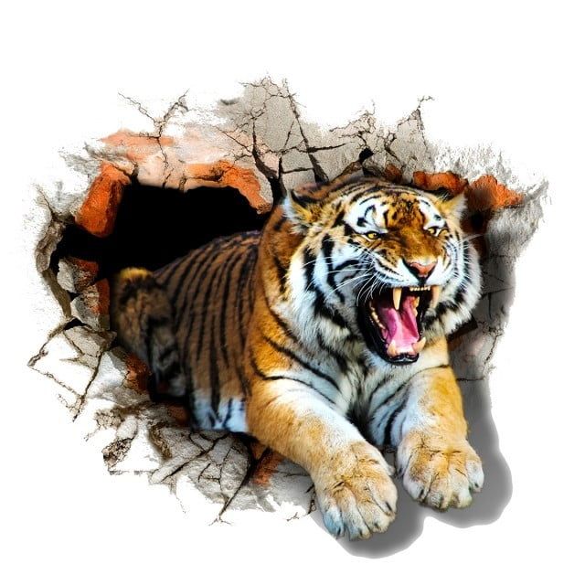 Gambar Binatang 3d Wallpaper Harimau 3d