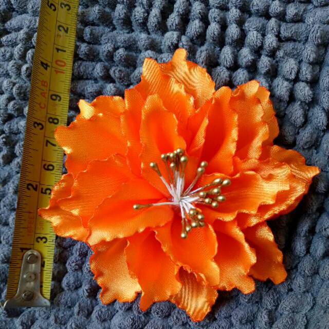 Gambar Bunga Dahlia Orange