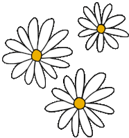 Gambar Bunga Daisy Kartun