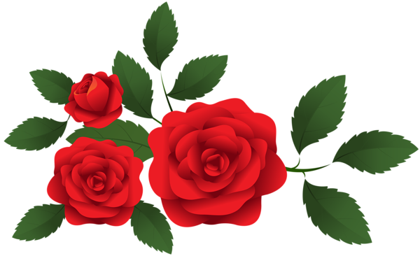 Gambar Bunga Mawar Clip Art