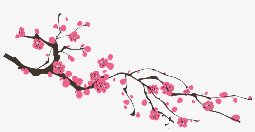 Gambar Bunga Sakura Png