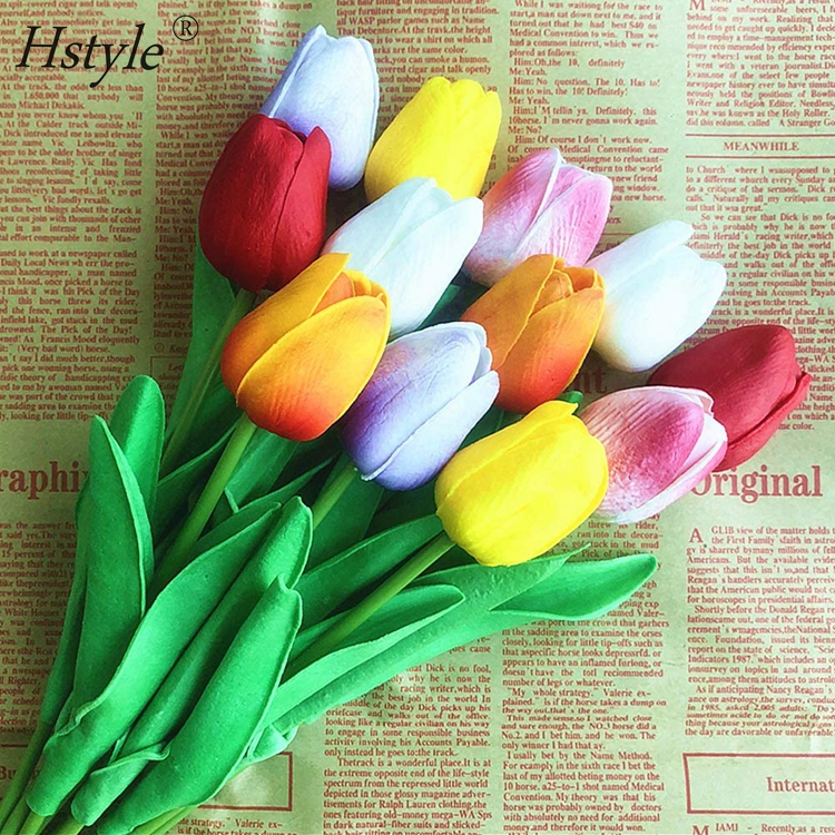Gambar Bunga Tulip Asli