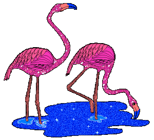 Gambar Flamingo Kartun