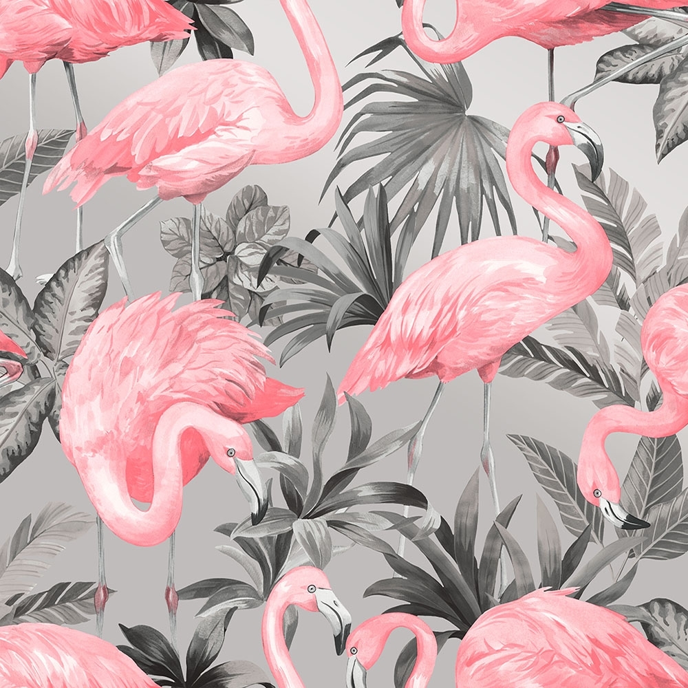 Gambar Flamingo Wallpaper