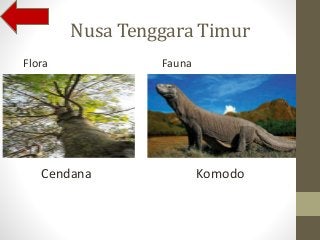 Gambar Flora Indonesia Bagian Tengah