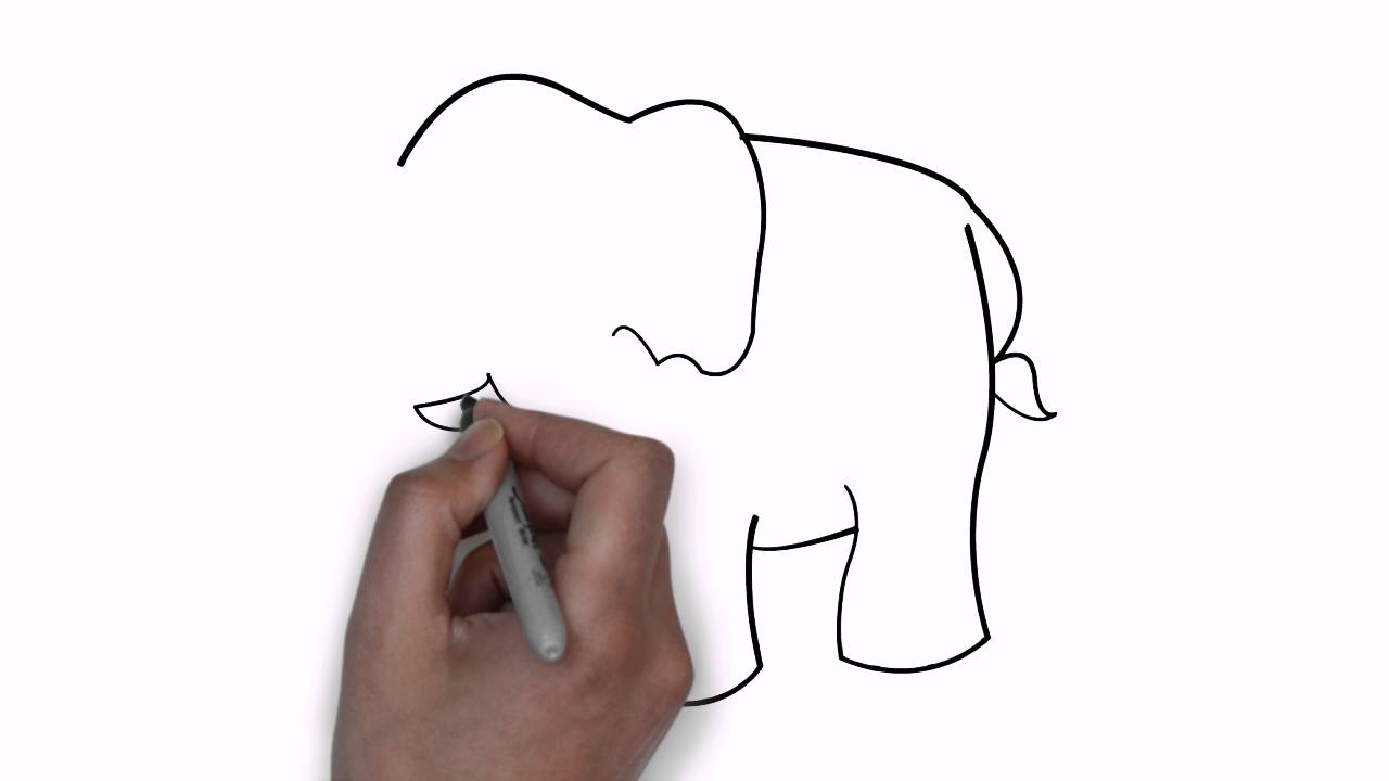 Gambar Gajah Sketch