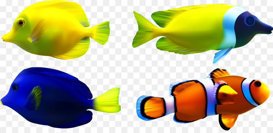 Gambar Ikan Ikan Laut