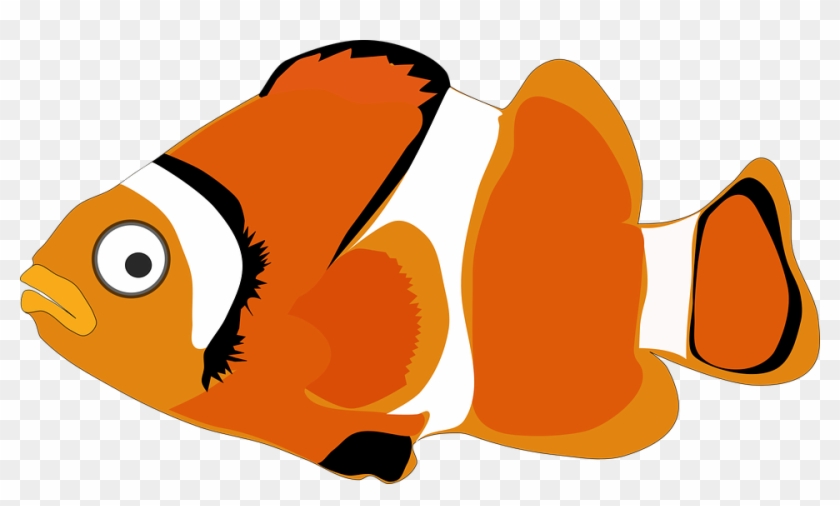 Gambar Ikan Nemo Animasi