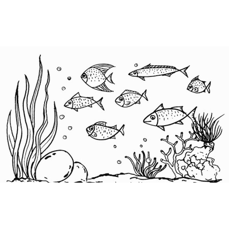 Gambar Ikan Untuk Mewarnai Anak Tk