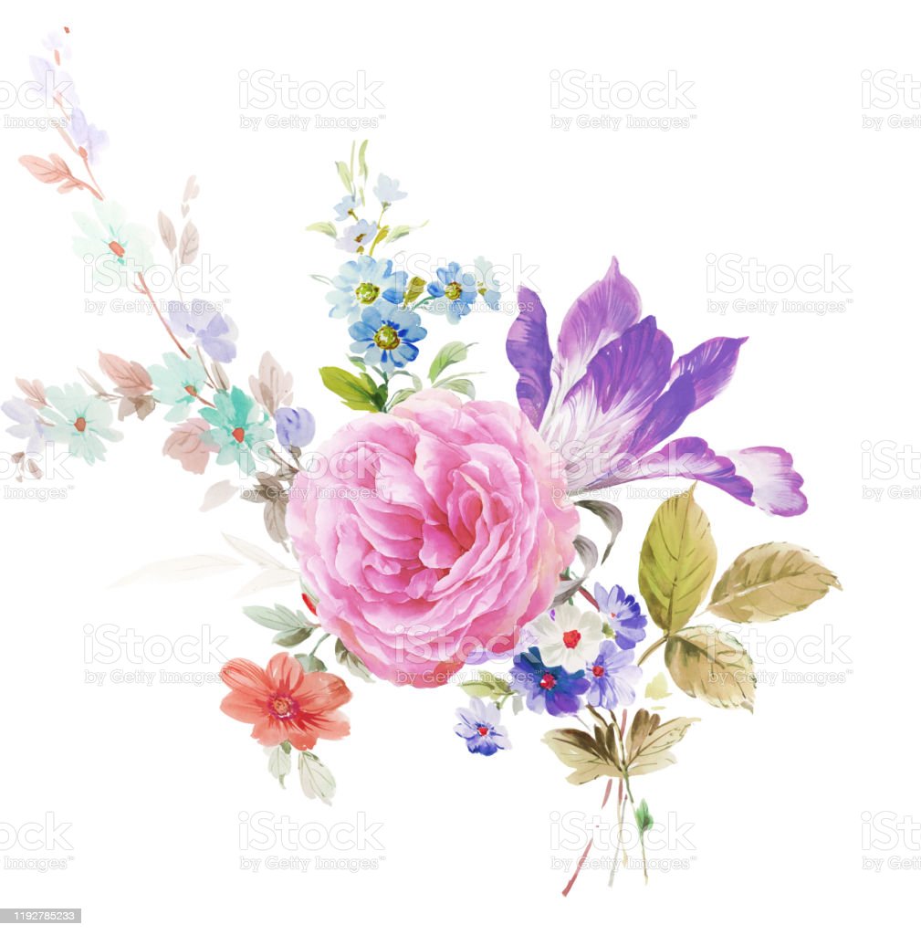 Gambar Ilustrasi Bunga Indah
