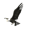 Gambar Kartun Burung Garuda