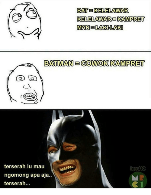 Gambar Kelelawar Batman Meme