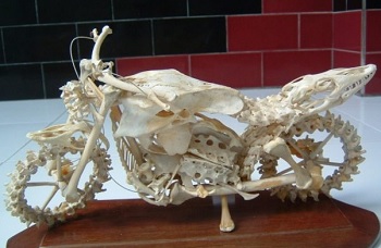 Gambar Kerajinan Tulang Ikan