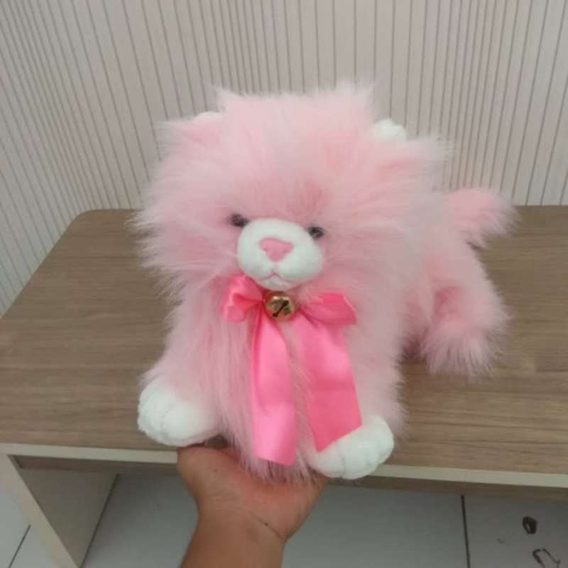 Gambar Kucing Warna Pink