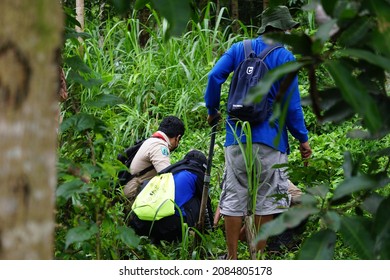 Gambar Lingkungan Alam Indonesia