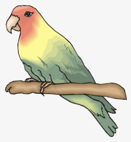 Gambar Logo Burung Lovebird
