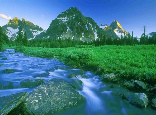 Gambar Mata Air Pegunungan