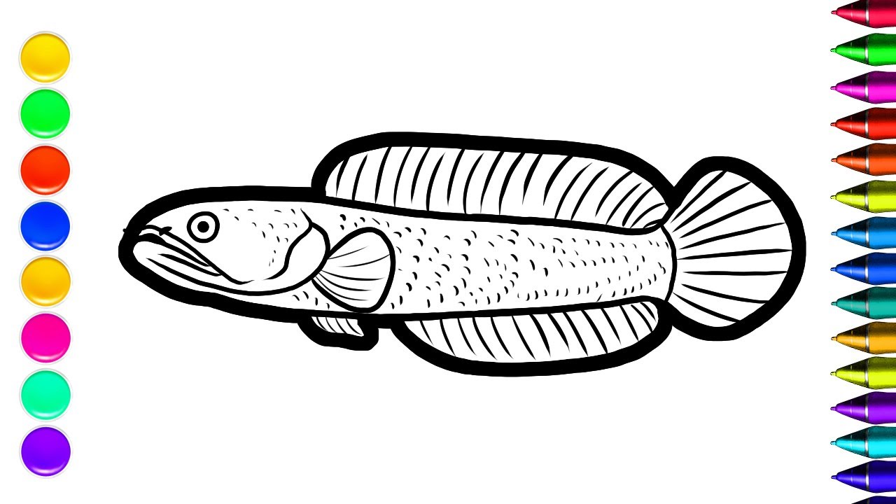 Gambar Mewarnai Ikan Kartun