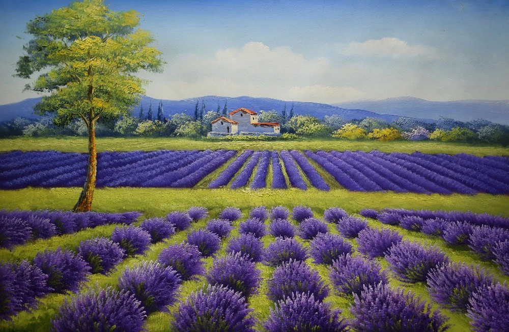Gambar Pemandangan Bunga Lavender