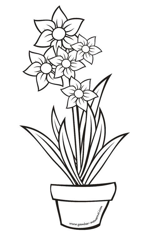 Gambar Sketsa Bunga Dalam Pot