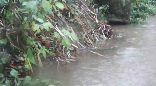 Gambar Sungai 2d