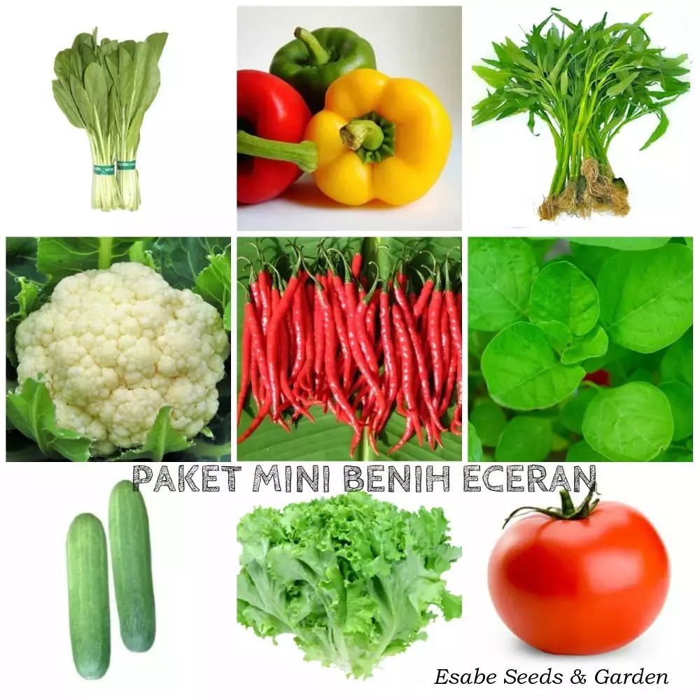 Gambar Tanaman Sayur