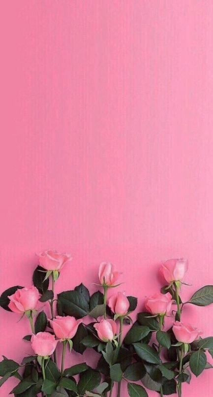 Gambar Wallpaper Pink Cute