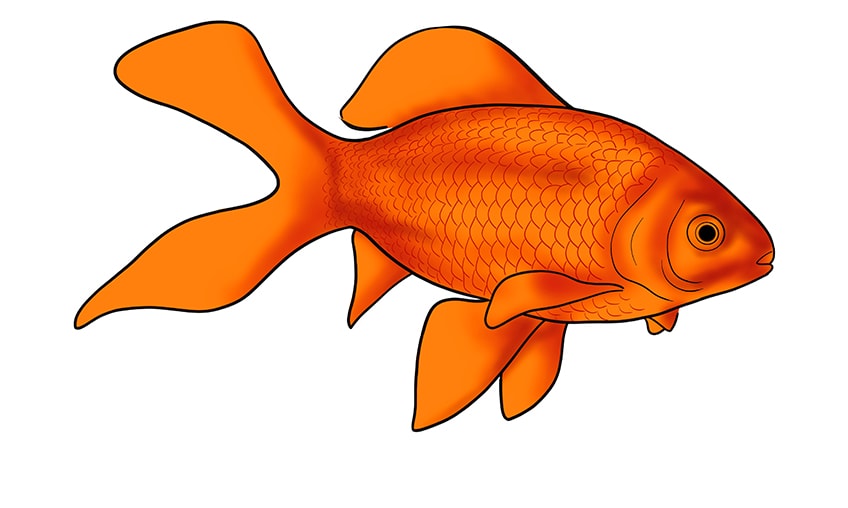 Goldfisch Zeichentrick