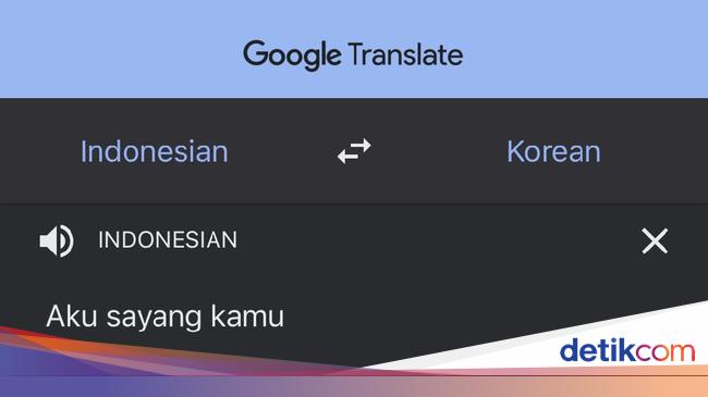 Google Terjemahan Bahasa Cina
