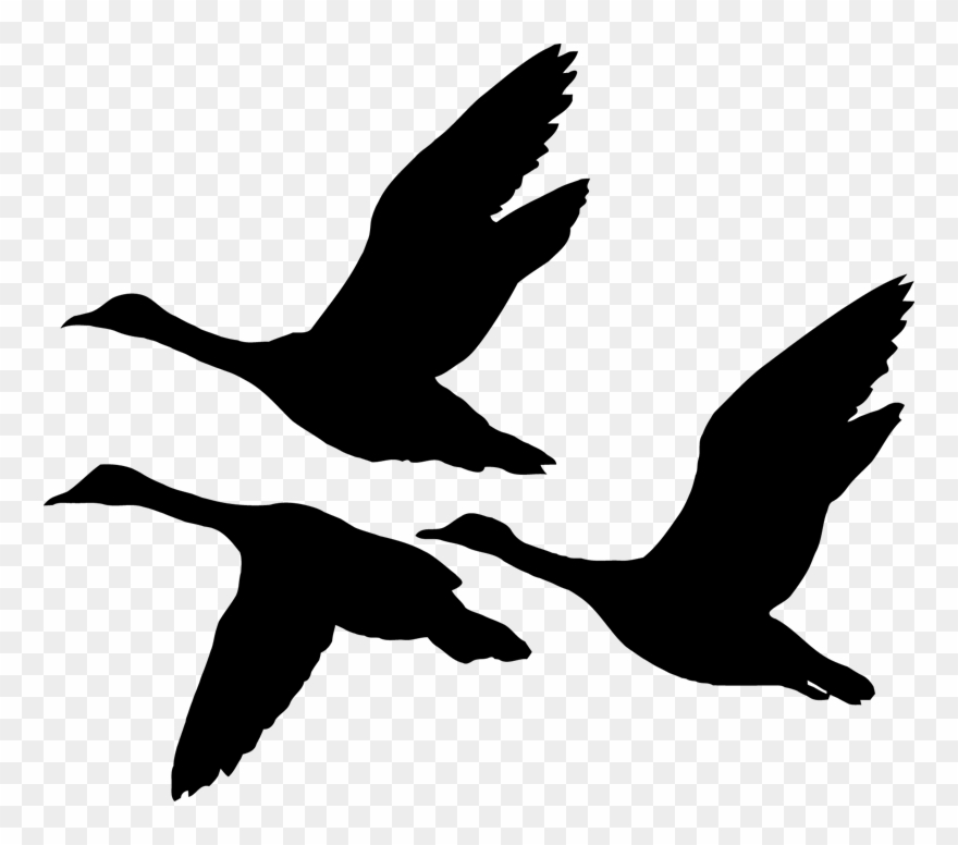Goose Flying Clipart
