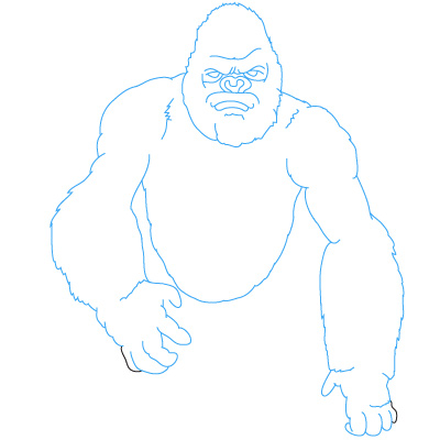 Gorilla Zeichnen