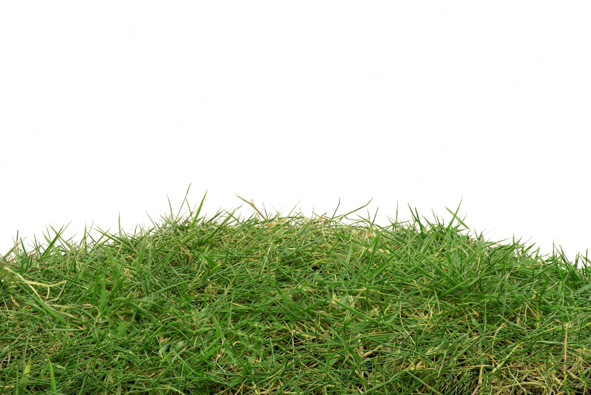 Grass Track Vector Download Logo