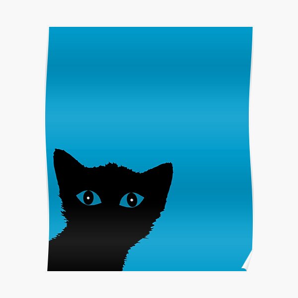 Graue Katze Blaue Augen