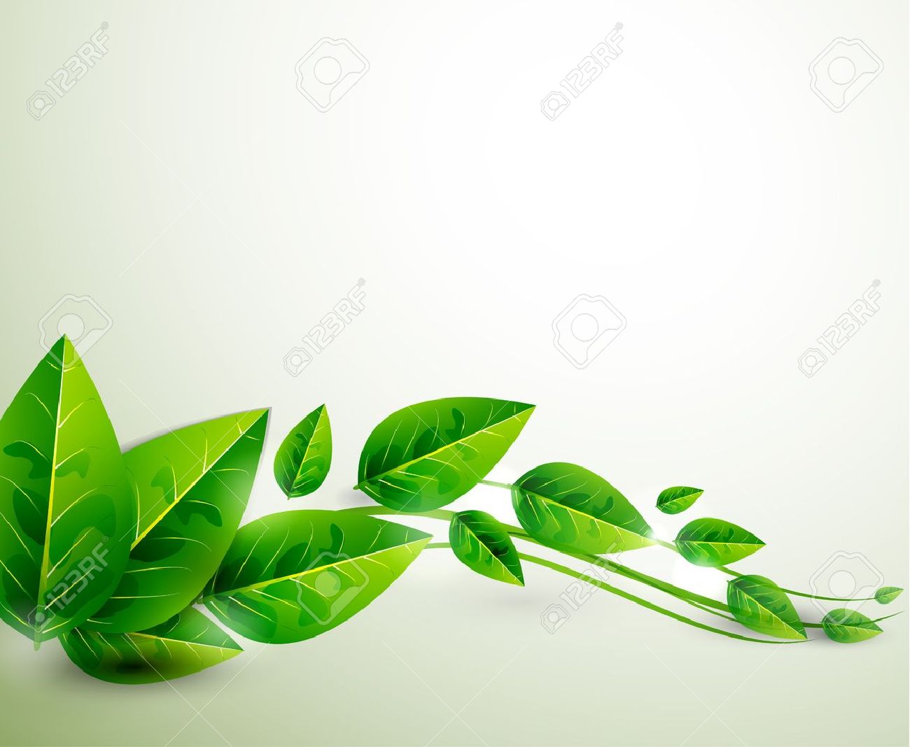 Green Leaf Background Images
